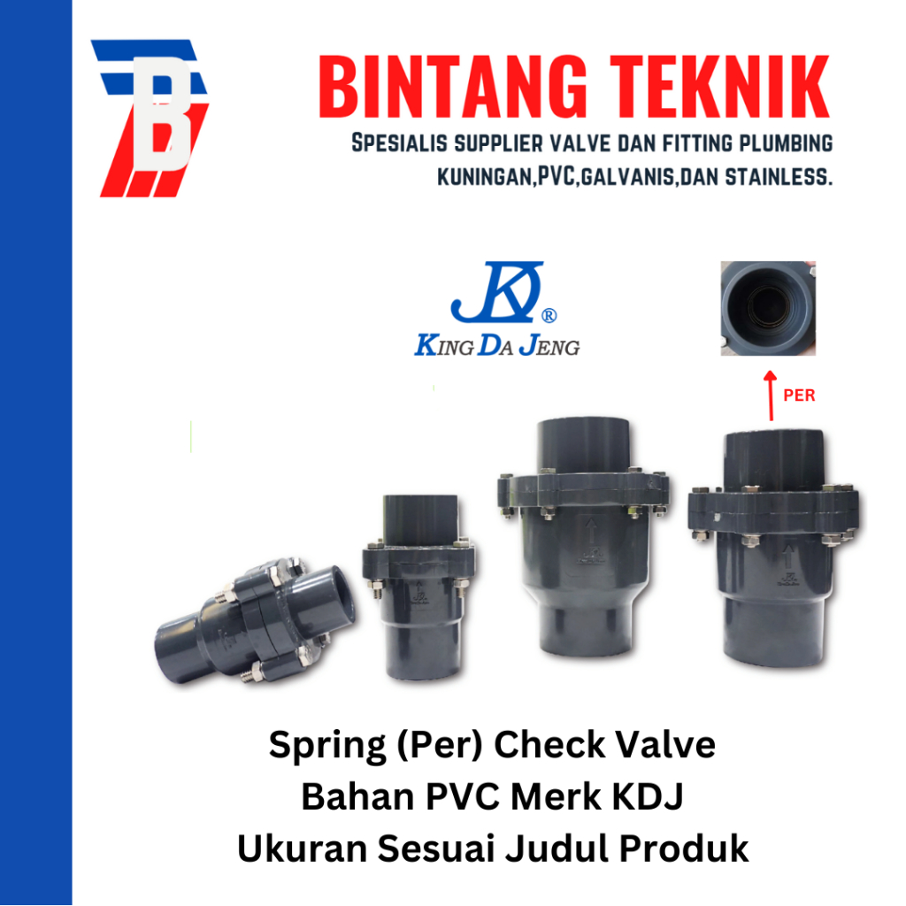 Spring Check Valve 2" inch PVC KDJ