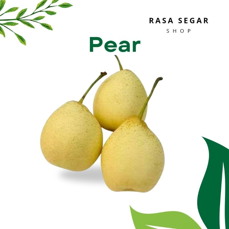 

Buah Pir Buah Pear Segar Manis 500gr | Rasa Segar