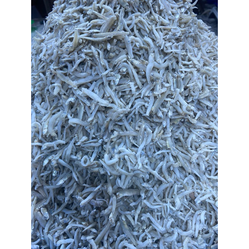 

teri nasi ukuran sedang