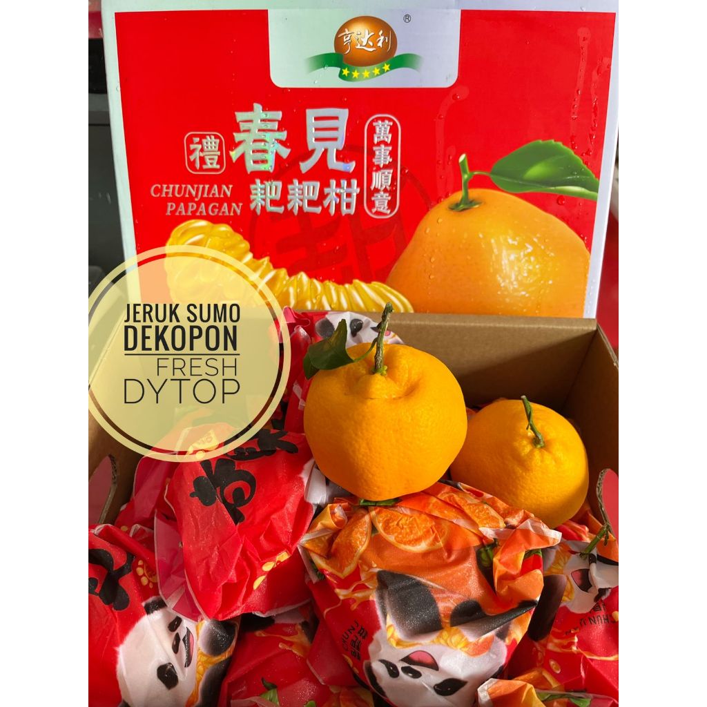

Buah Jeruk Sumo Dekopon Manis Enak Gift Pack