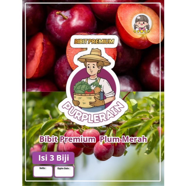 Bibit Premium Plum Merah | Biji Benih Buah Plum Merah