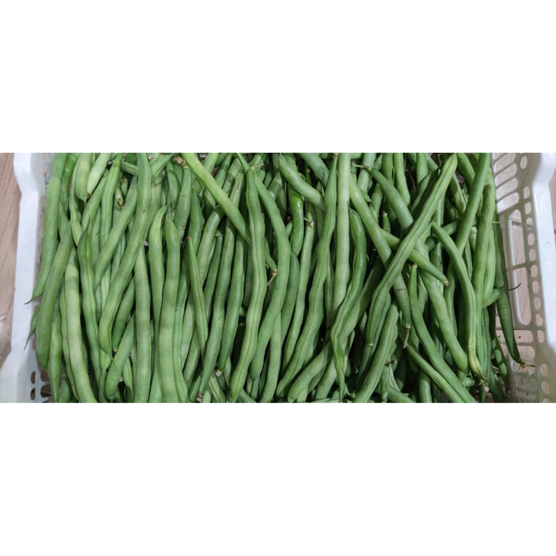 

Buncis Segar - Sabuga Market