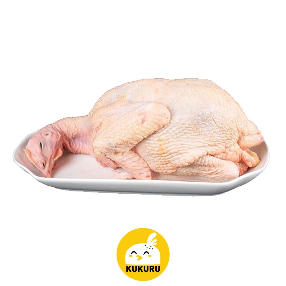 

AYAM KAMPUNG UTUH UKURAN EKSTRA BESAR/XL 1,1-1,4 KG