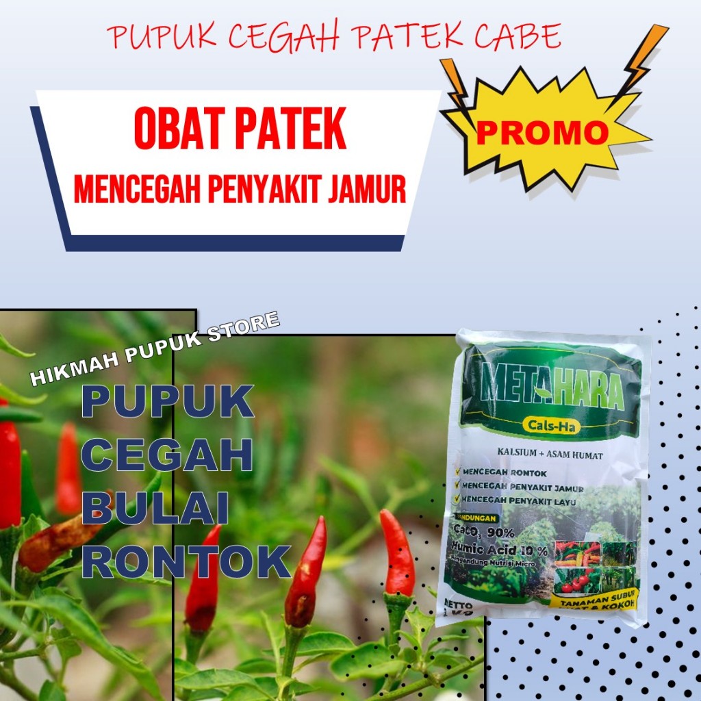 Promo Pupuk Semprot Atasi Patek, Busuk, Layu, Antraknosa Cabe METAHARA Obat Tanaman Pada Cabe Agar S