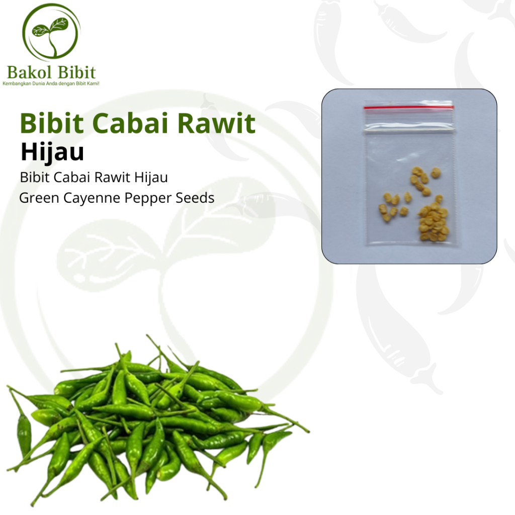 

BAKOL BIBIT-Aneka Bibit Cabai Pedas Cabai Rawit Hijau Sambal