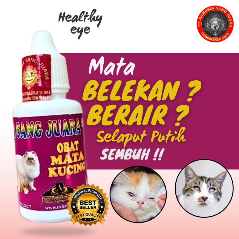 OBAT MATA KUCING BELEKAN BENGKAK BERAIR DAN BERSELAPUT