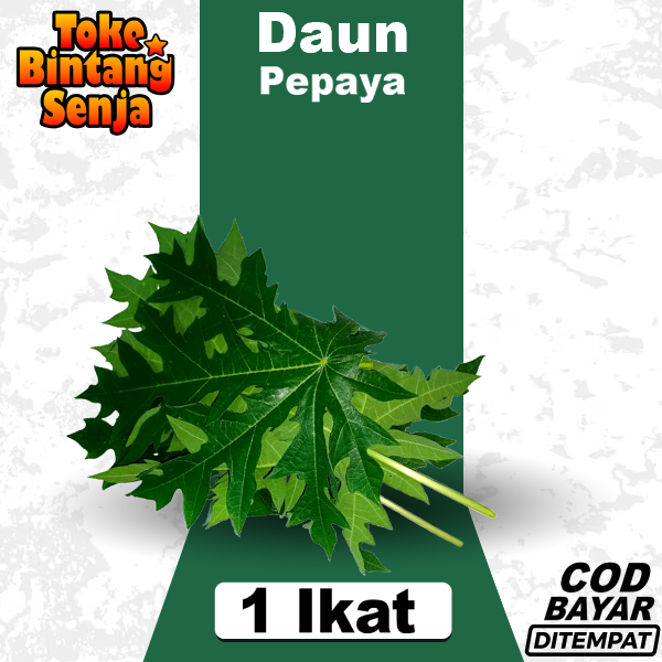 

Daun Pepaya Pahit 1 Ikat Untuk Seupan Lalapan Rebus Tumis Tumisan Buntil Ecoprint
