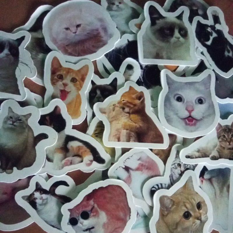 

Sticker kucing random 10pcs + freebies