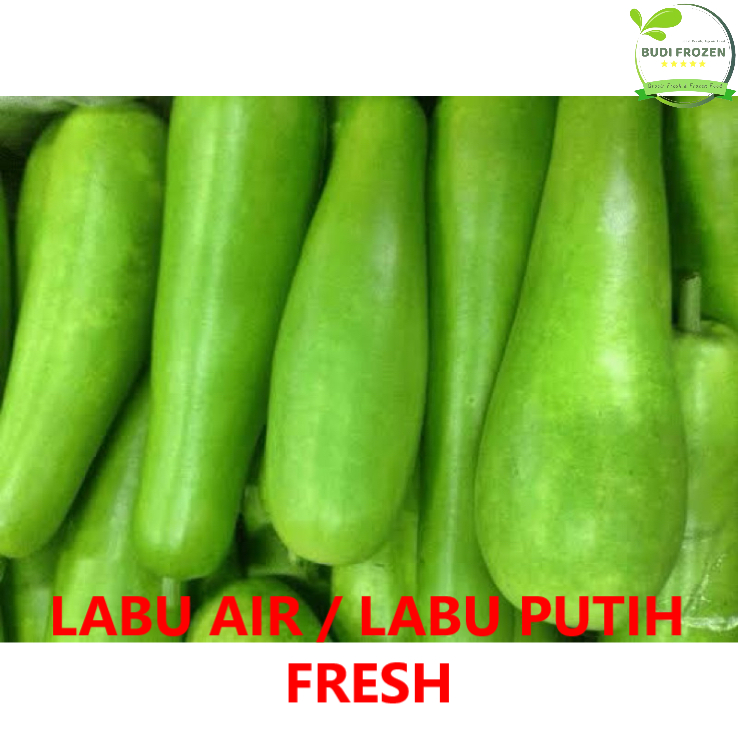 

LABU AIR / LABU PUTIH FRESH HARIAN PASAR