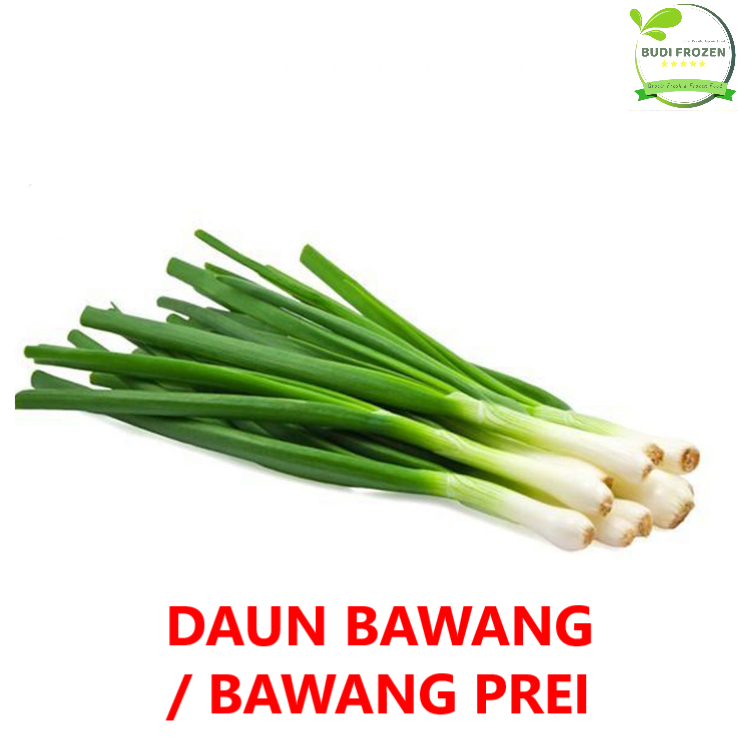 DAUN BAWANG / BAWANG PREI / DAUN BAWANG BESAR FRESH - HARGA PASAR