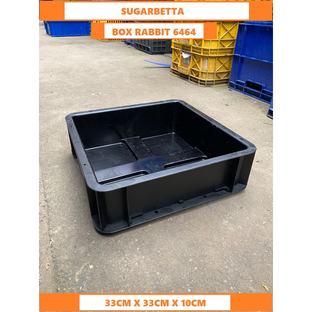 bak ikan hias bak ikan cupang box rabbit 6464