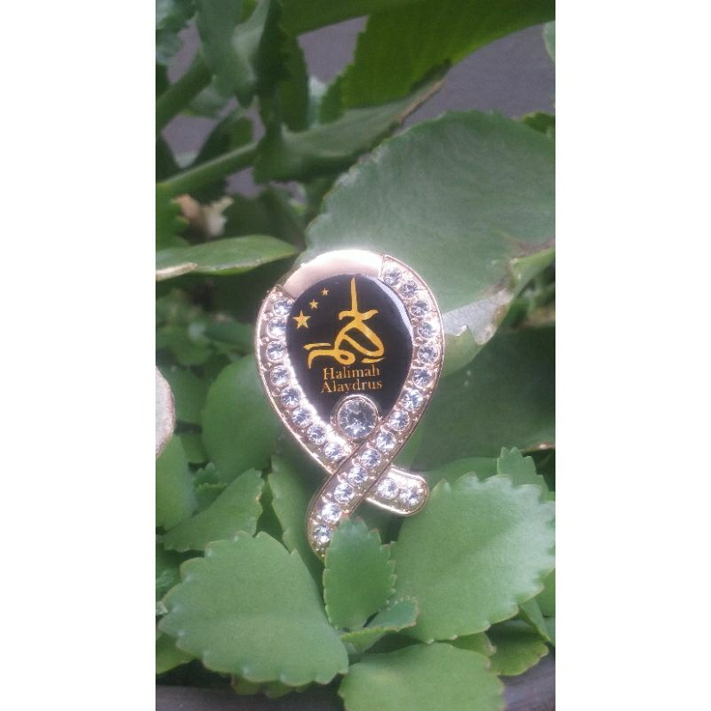 Bros Pita Ustadzah Halimah Alaydrus