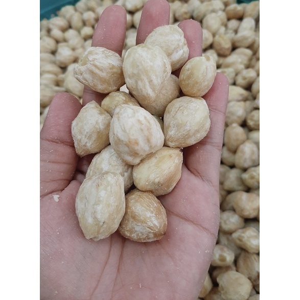 

Kemiri Putih Super (500 Gram / miri / Keminting / kemiri Laut / Kemiri ADM