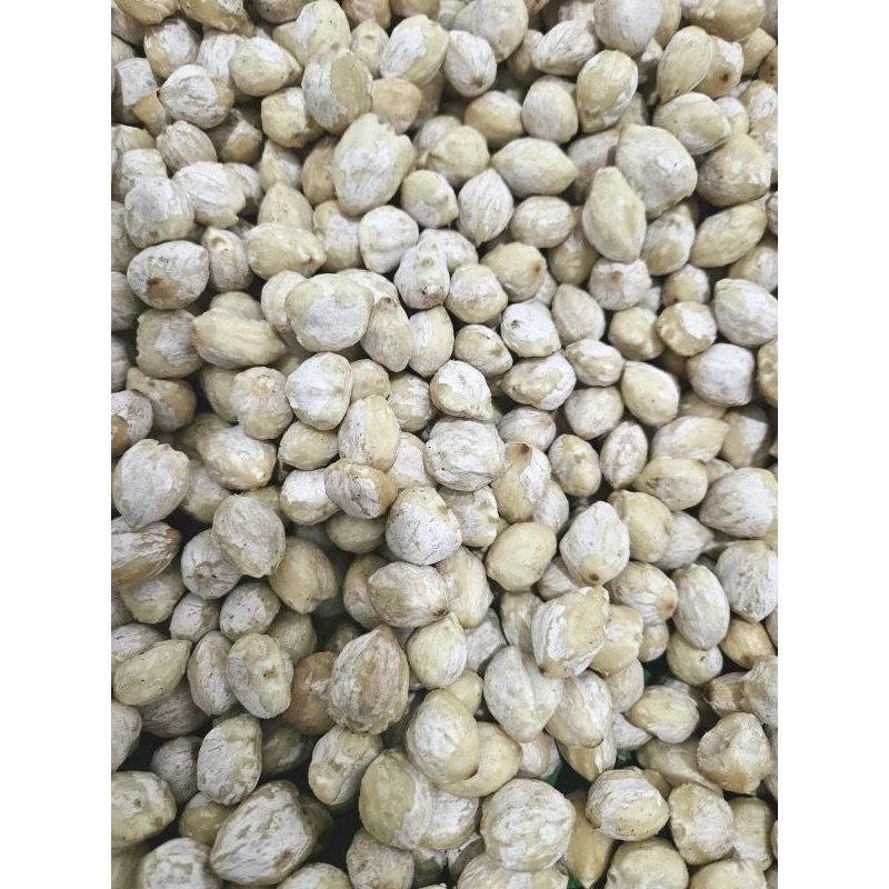 

kemiri bulat organik 100gr
