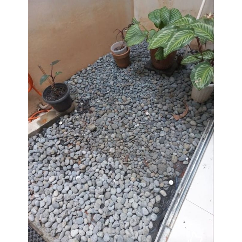 Batu Koral Abu Pelabuhan Hiasan Taman