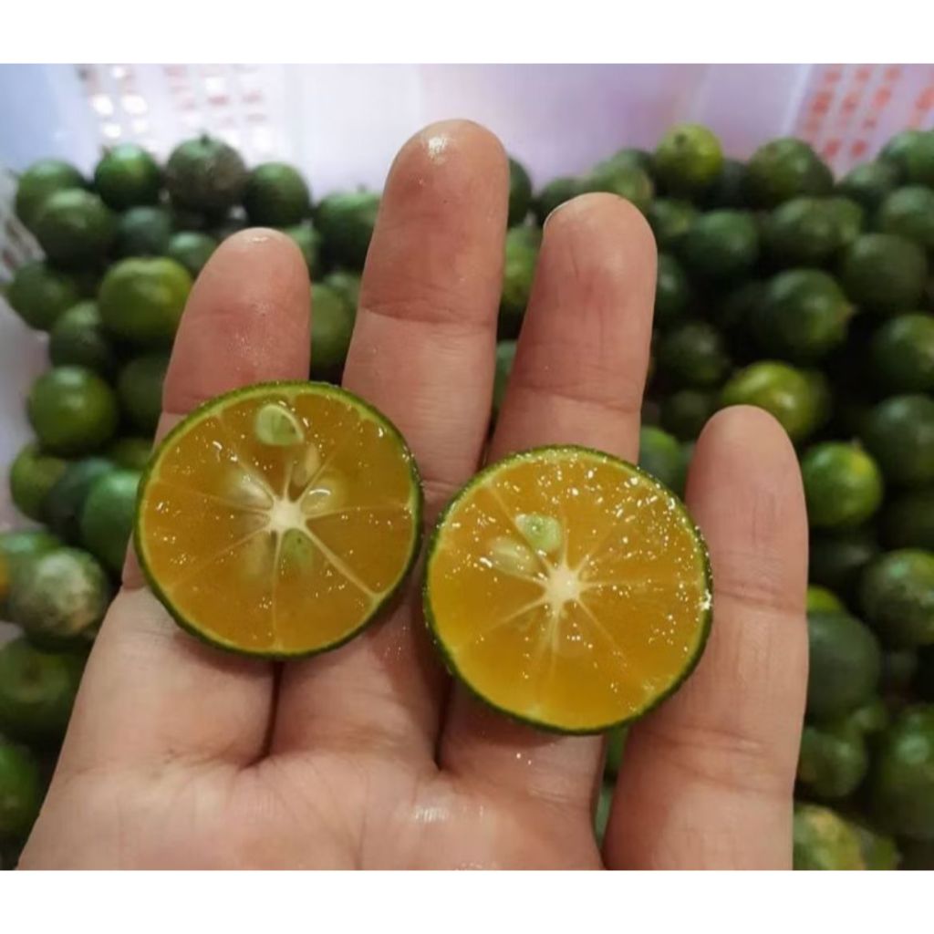 

AIDA FASHION JERUK SONKIT MURAH 500gr & 1kg / KASTURI / LEMONCUI / KUNCI
