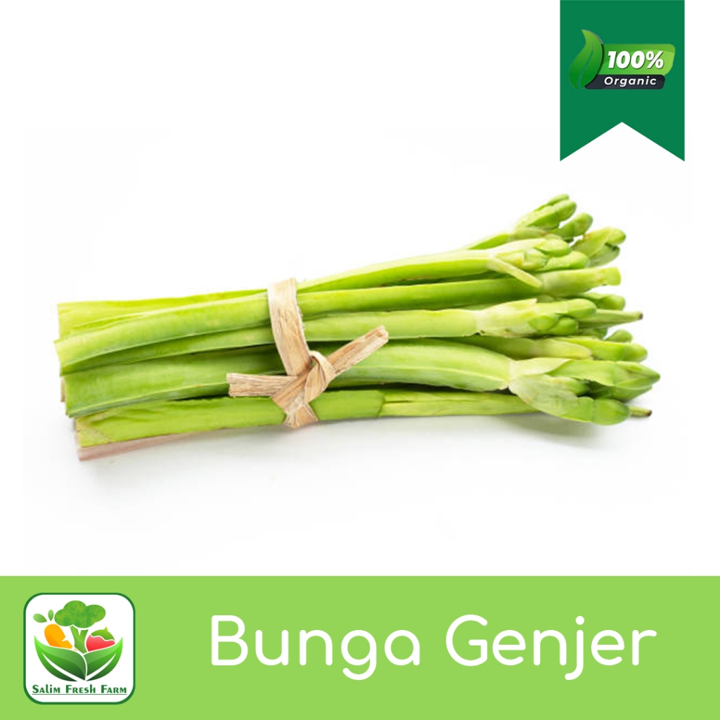 

Bunga genjer 1 ikat / Bunga genjer sayuran segar / Bunga genjer sayur / Genjer hijau / Genjer bunga
