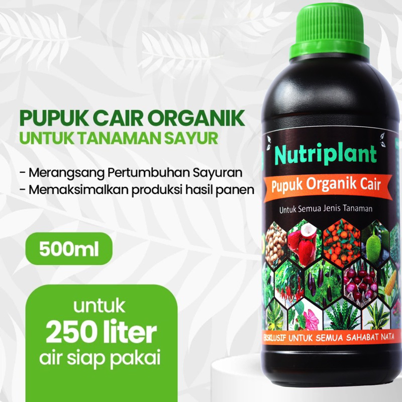 Pupuk Sayur | Pupuk Organik Cair Untuk sayuran | Nutrisi Tanaman