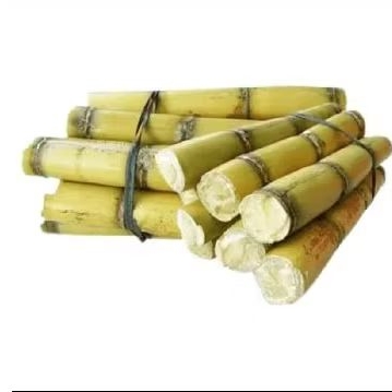 

tebu kuning asli berkualitas 1 kg rasa manis