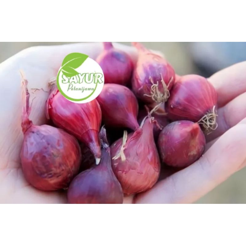 

Bawang Merah Segar | Bawang Merah 500gr