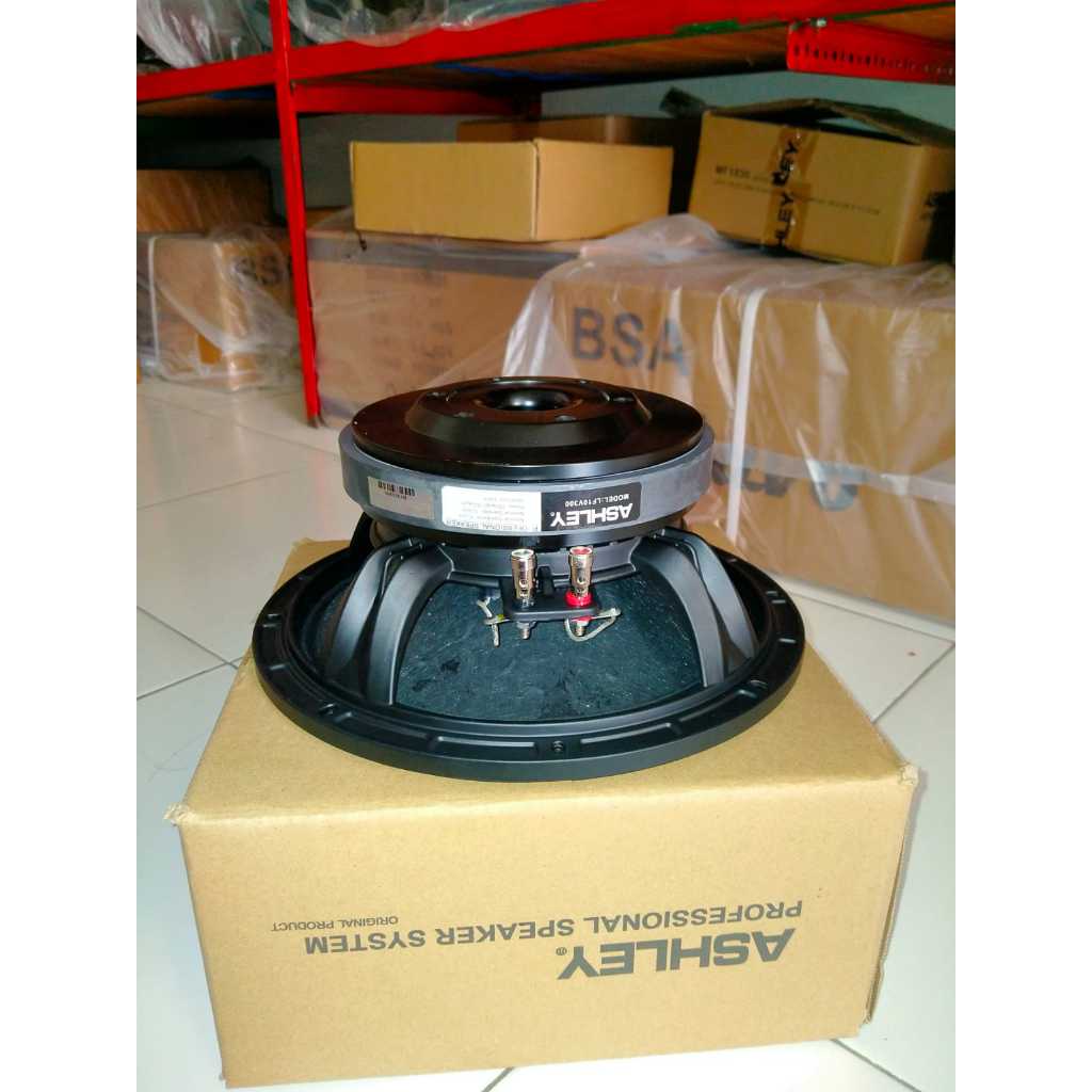 SPEAKER ASHLEY 10" LF10V300 / LF 10V300