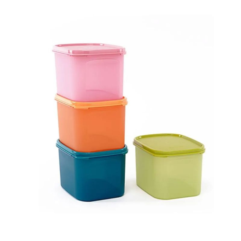 Colorful Rectangular Set Tupperware