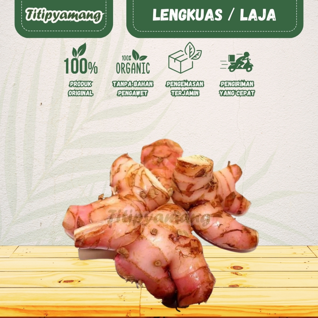 

Lengkuas | Laja | Bumbu Masak