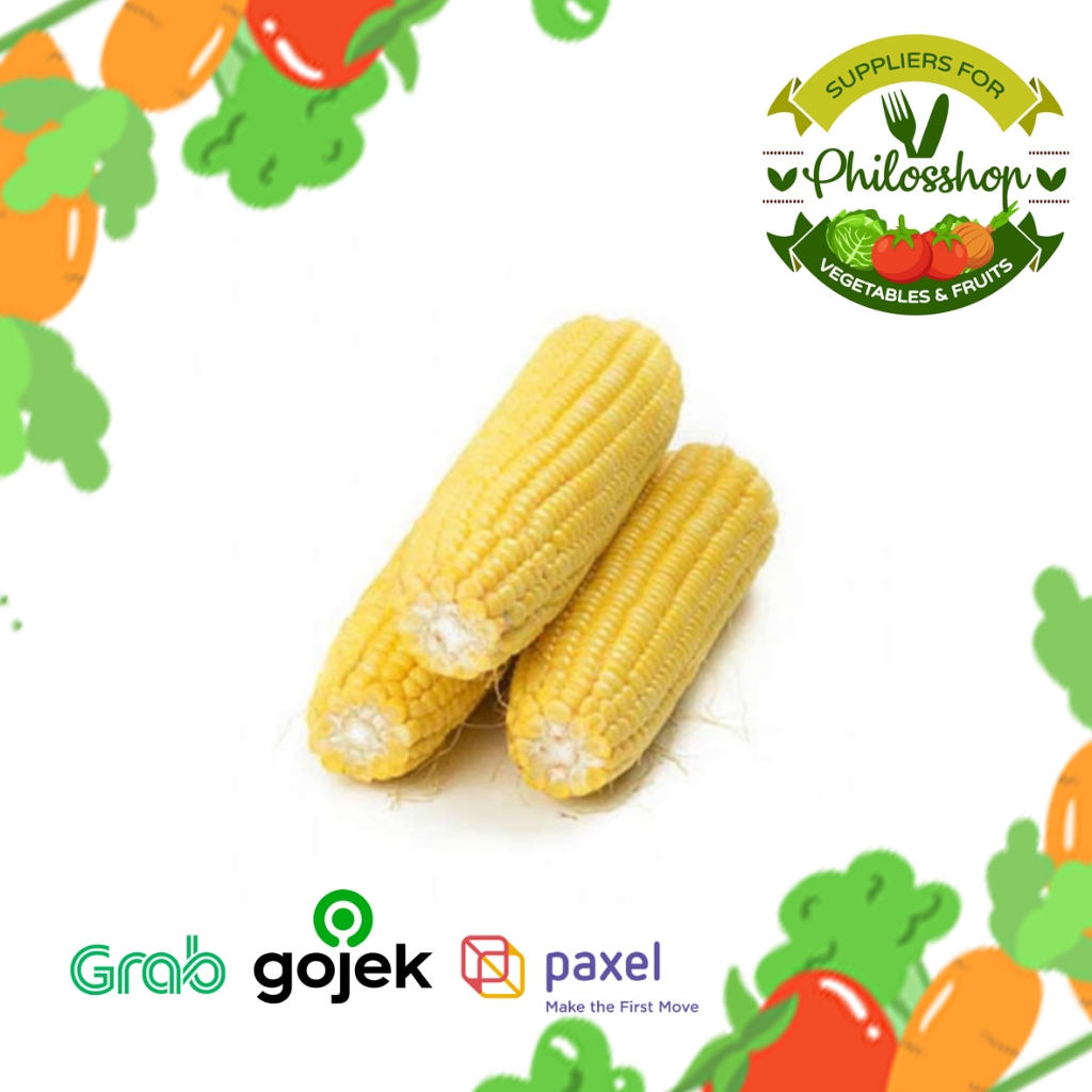 

JAGUNG MANIS-JAGUNG LOKAL-FRESH KEBON-JAGUNG BERSIH