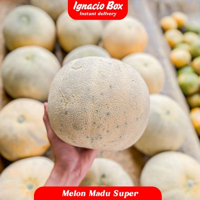 

Melon Madu 1Pcs Segelondong ± 1-1.5 kg Fresh IgnacioBox