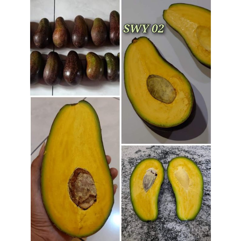 Entres Alpukat SWY 02