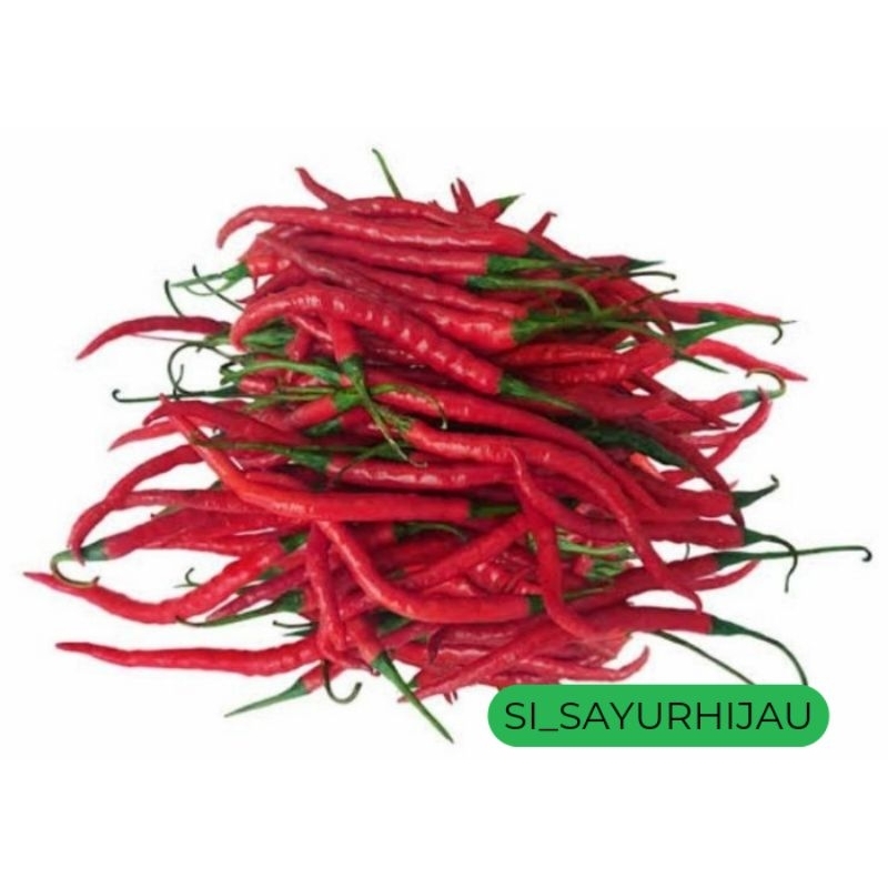 

CABAI MERAH KERITING