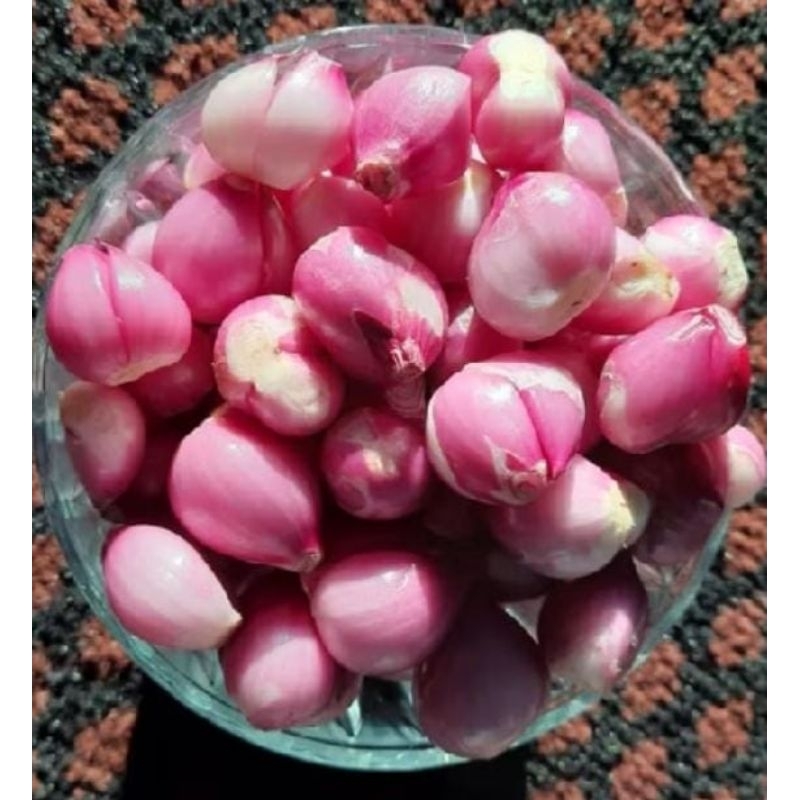 

Brambang kupas Sedang