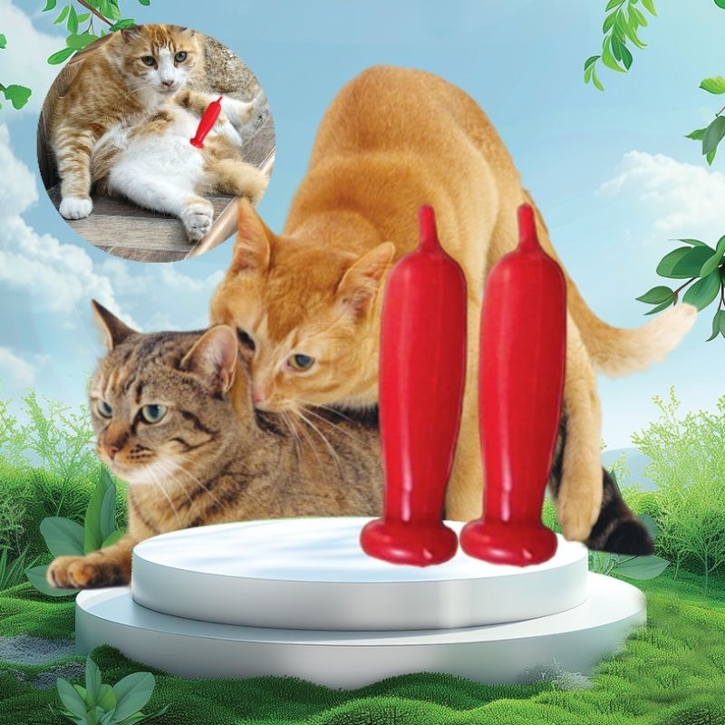KONDOM KUCING - Alat Kontrasepsi Kucing Pemuas Birahi Kucing TANPA KAWIN & STERIL Mencegah Kucing Ha