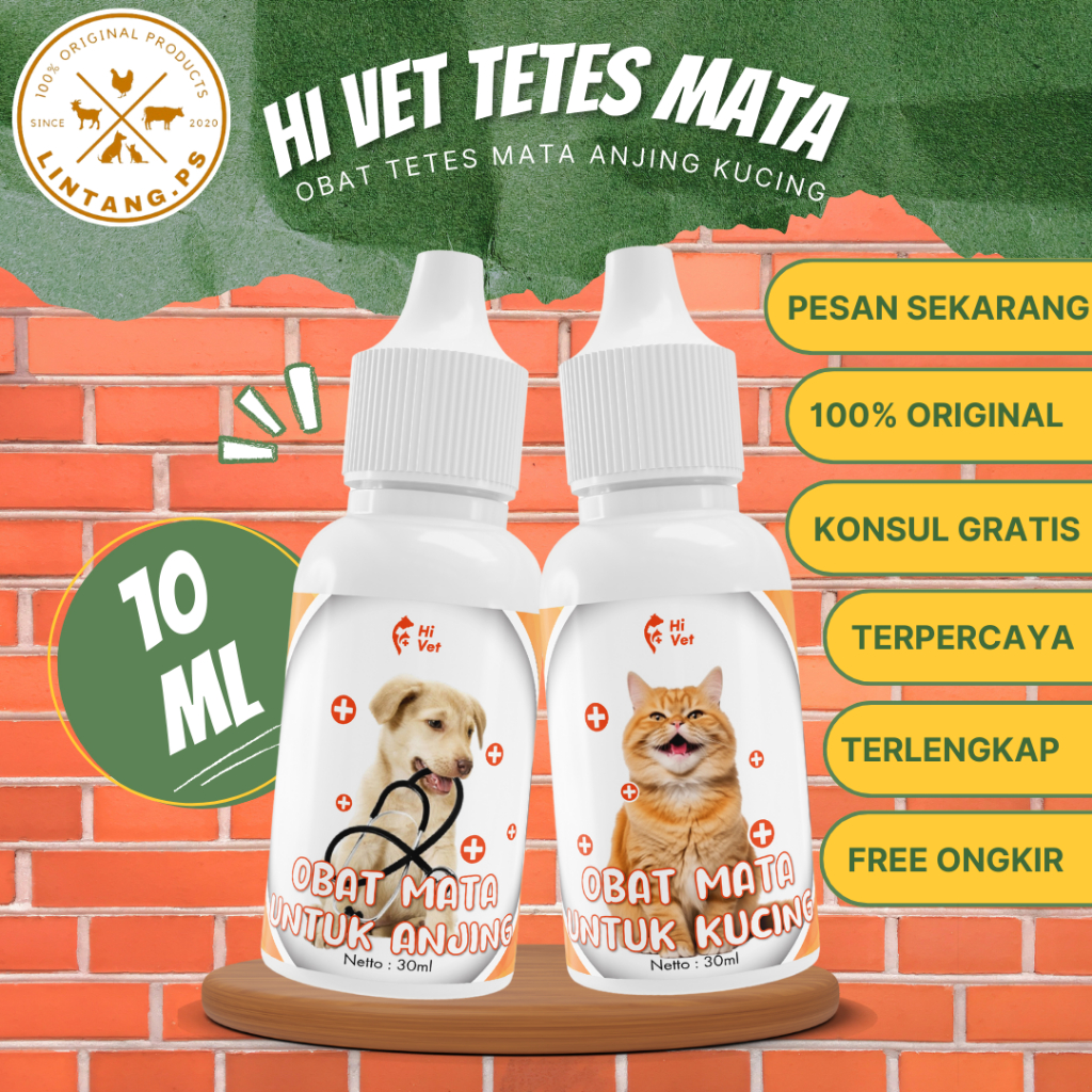 HI VET Tetes Mata Anjing - Obat Tetes Mata Anjing - Tetes Mata Anjing Belekan