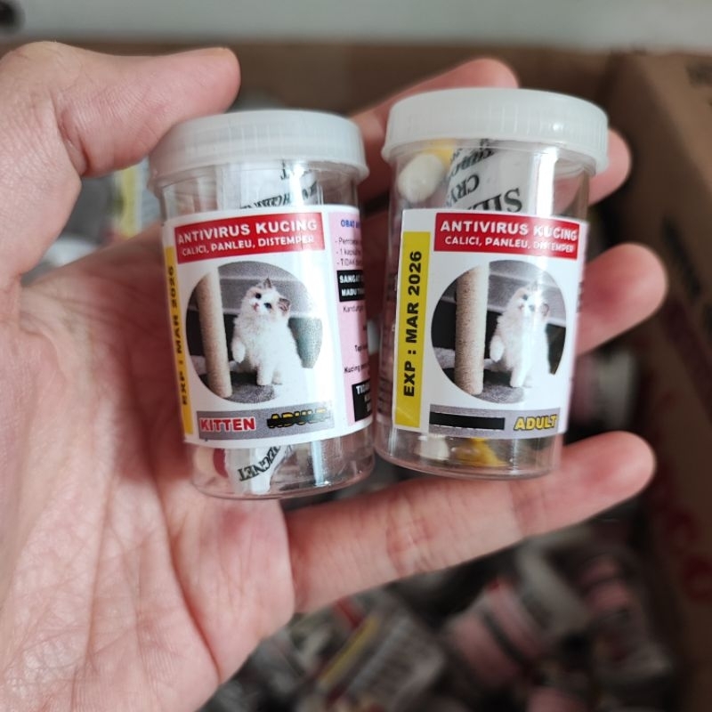 Obat Virus Kucing Antivirus Calici / Panleukopenia / Distemper / FIP Kering / Kapsul Ajaib Monmonoko