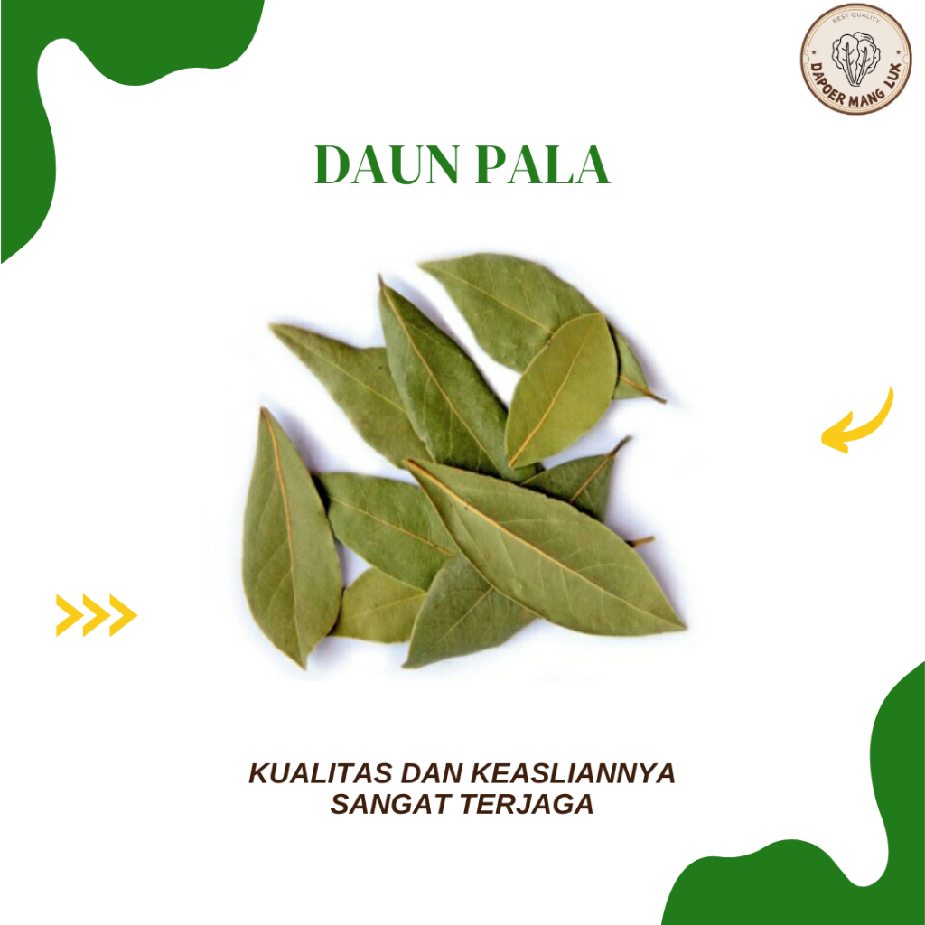 

DRIED SERBUK DAUN PALA BEST SELLER