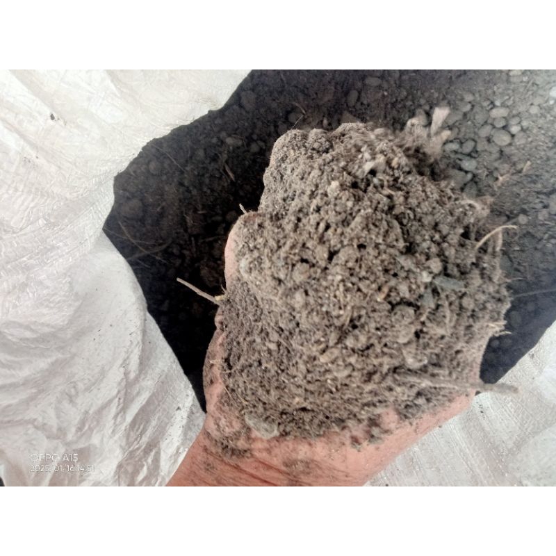 1 KG kotoran sapi kering organik penyubur tanaman murah aja