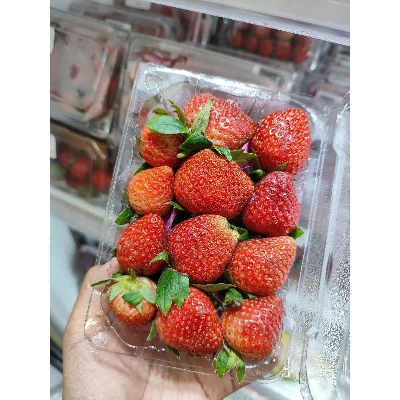 

BUAH STRAWBERRY SEGAR 250gr