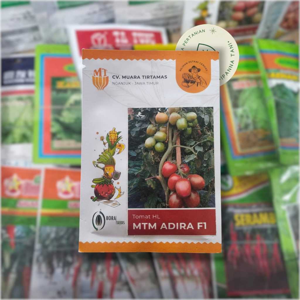 BENIH MTM ADIRA F1 10GR – BENIH TOMAT HL | BIBIT TOMAT | BIBIT TANAMAN TOMAT