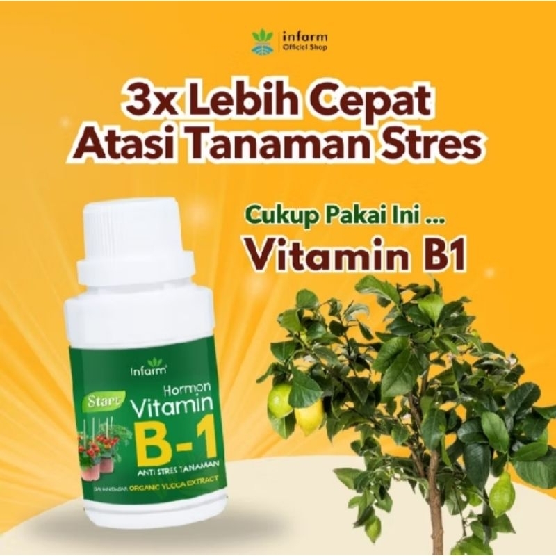 INFARM - Vitamin B1 Premium Nutrisi Tanaman Anti Stress Kualitas Import