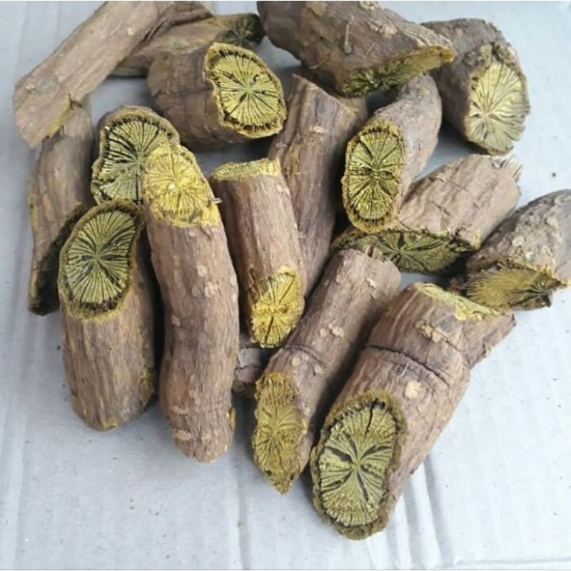 

Akar Ki Koneng atau Akar Kayu Kuning Asli 250 Gram