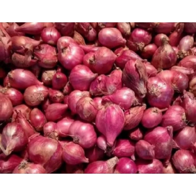 

BAWANG MERAH BESAR BREBBES 1kg