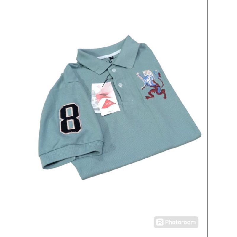 Baju Pollo Pria/ Baju Pollo Pria Terbaru/ Baju Pollo Pria Premium Quality / Baju Pollo Shirt Pria