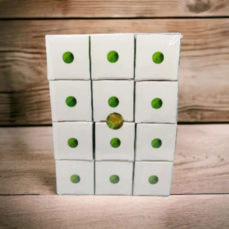 12pc Krim Garnier Susun Siang Malam Whitening Original