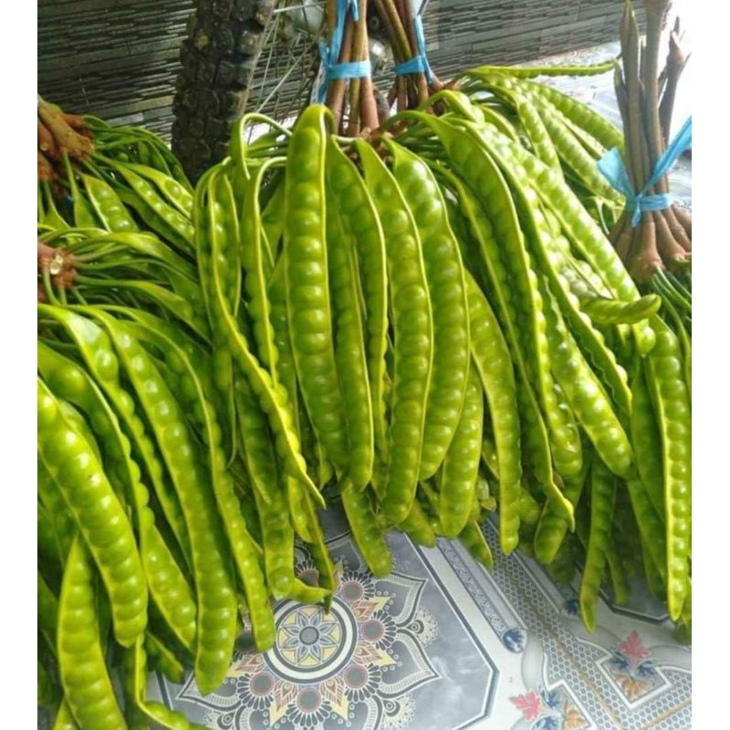 

pete padi tua manis 30 ribu dapat 10 papan/ keris