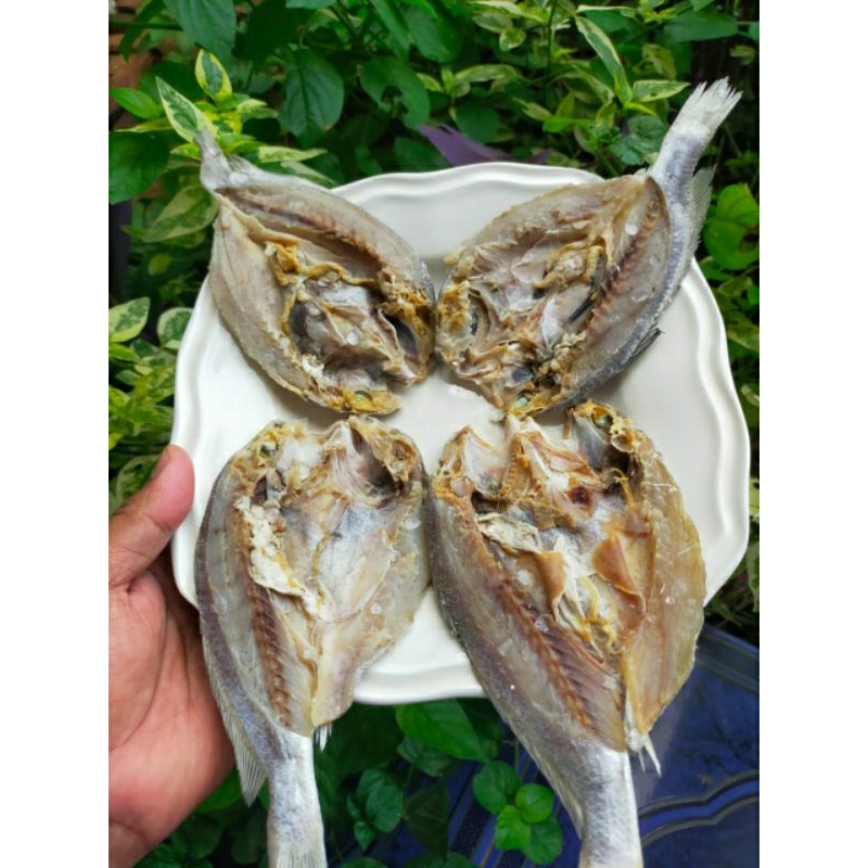 

Ikan Asin Samge/Ikan Asin Gulama/Ikan Asin Kepala Batu Belah 500 gram