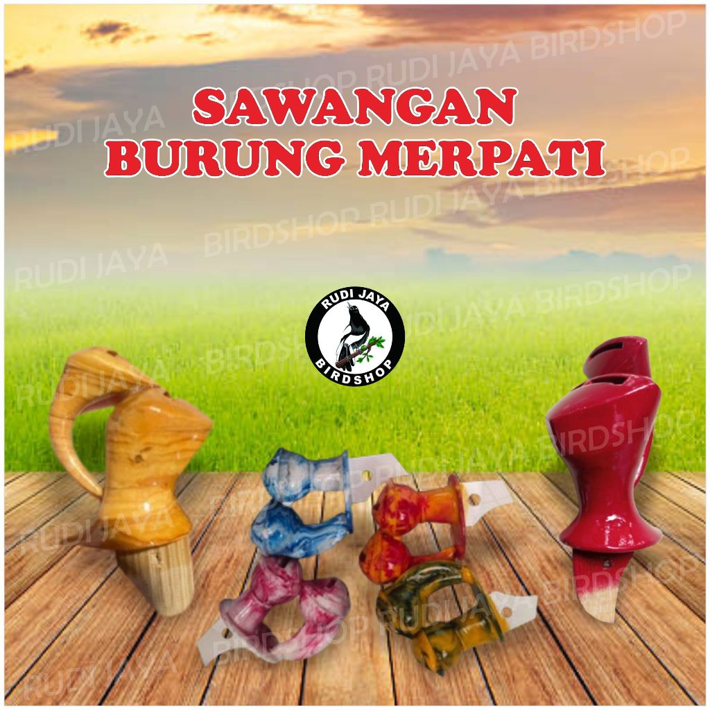 SAWANGAN BURUNG MERPATI HOTANG HATONG HONTANG SAWANGAN KAYU BUNYI NYARING SAAT TERBANG