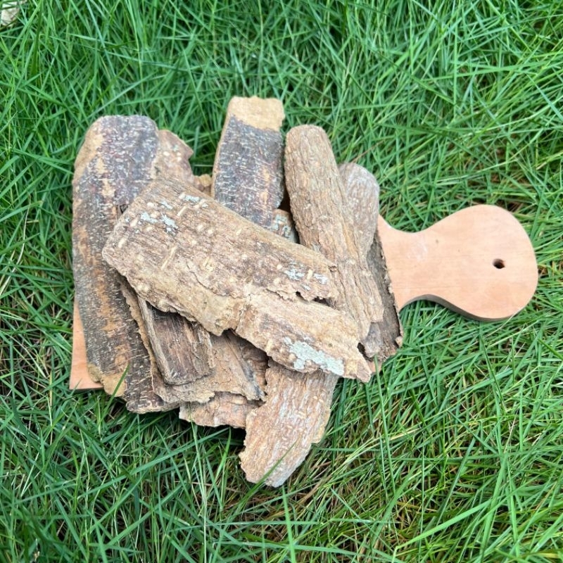 

Kulit Kayu Pule 100g