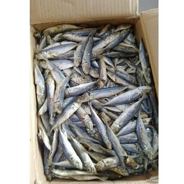 

PROMO IKAN ASIN LAYANG REBUS SUPER TERMURAH | 250 gr | 500 gr | 1 kg KHAS LAMPUNG