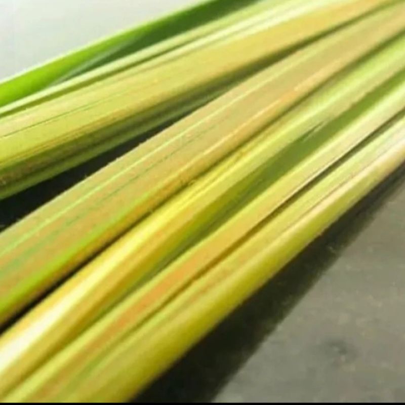 

JANUR KELAPA 50 PCS DAUN KELAPA MUDA DI AMBIL KETIKA ADA ORDERAN